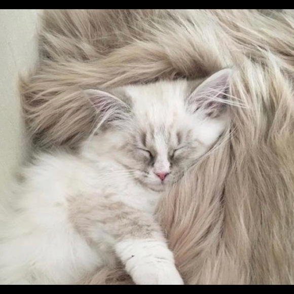 Most wonderful time of the year🌨❄️🎁☃️🎄 - Picture 6 of 7